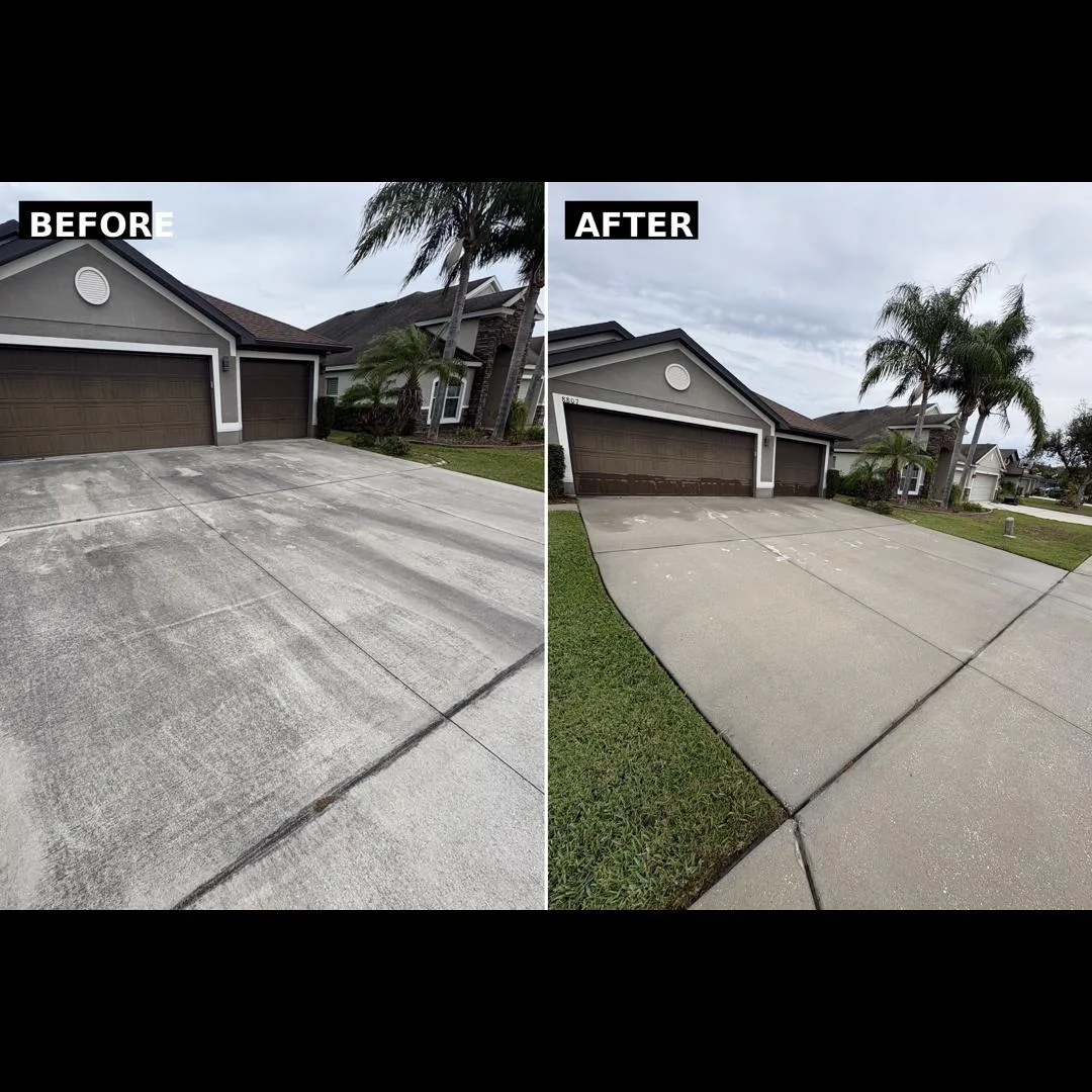 Driveway pressure washing before and after — concrete cleaned of mold and dirt stains in Tampa Bay FL