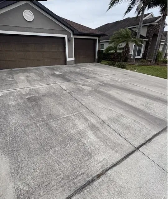 The same Tampa Bay driveway before service, covered in dark algae staining and grime across the concrete