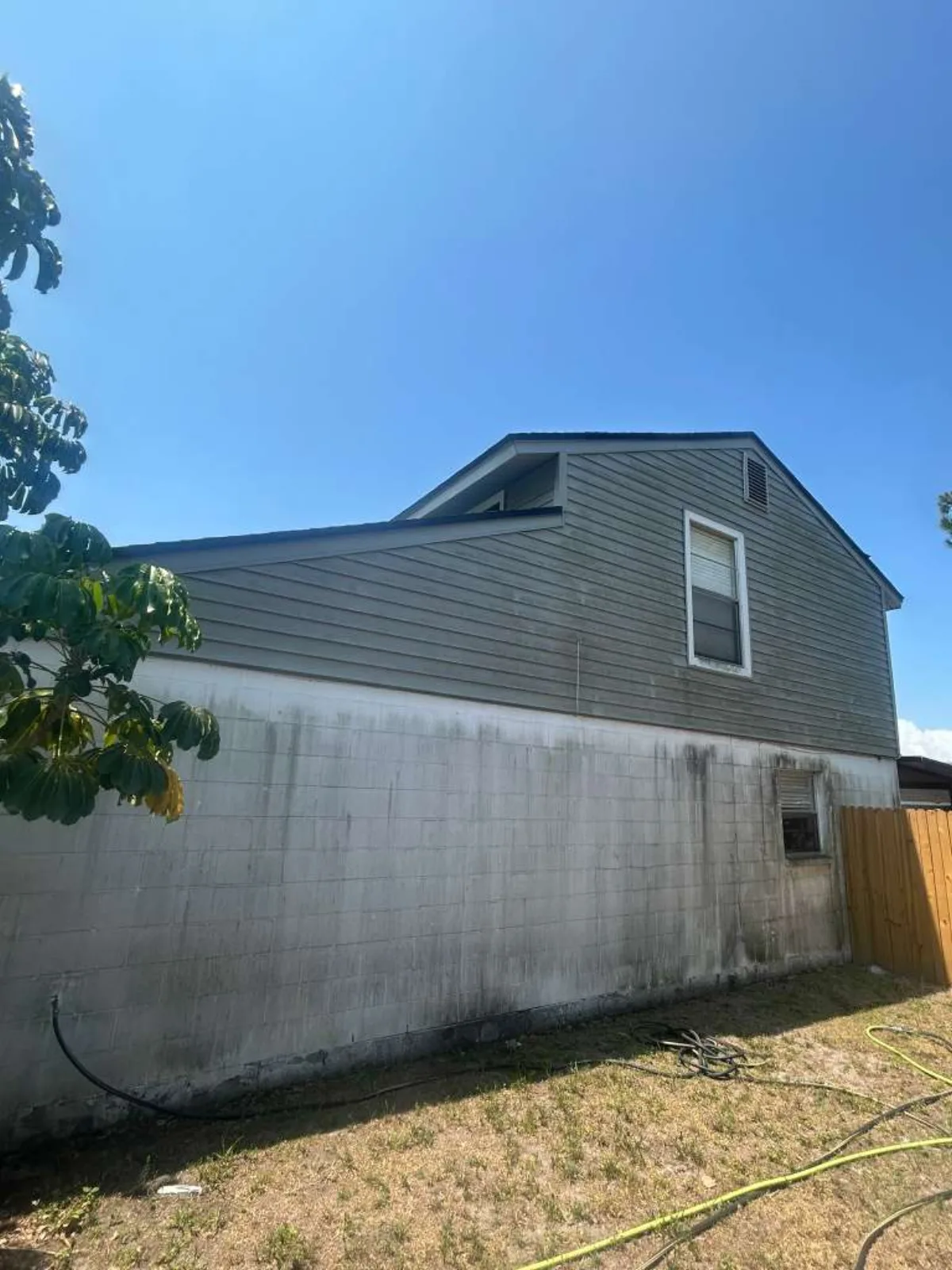 House exterior with mold and algae buildup before pressure washing — Tampa Bay FL